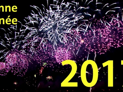 Bonne ann&eacute;e 2017